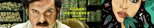 прущие грибы Волоколамск