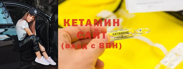 дмт Бородино