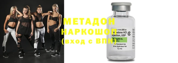 прущие грибы Волоколамск