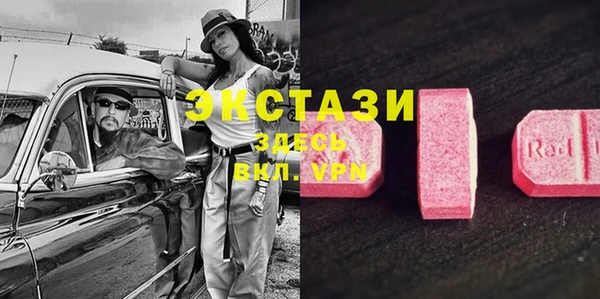 прущие грибы Волоколамск