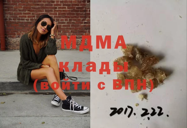 прущие грибы Волоколамск