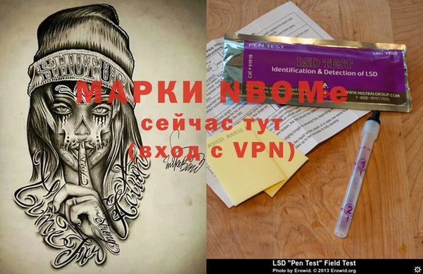 дмт Бородино