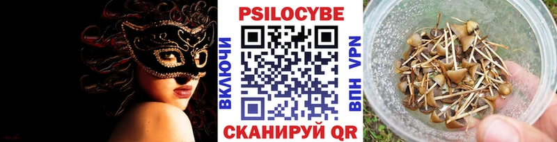 кракен зеркало  где купить   Новоржев  Галлюциногенные грибы GOLDEN TEACHER 
